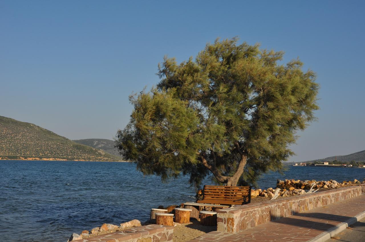 Apidias Lakos Ariadnes Holiday Accommodation المظهر الخارجي الصورة