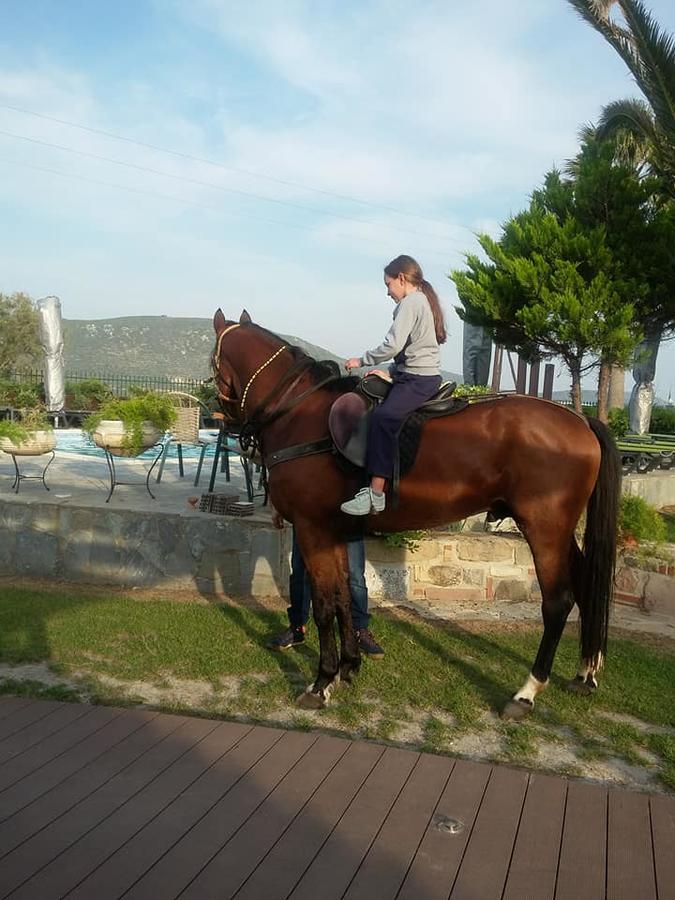 Apidias Lakos Ariadnes Holiday Accommodation المظهر الخارجي الصورة